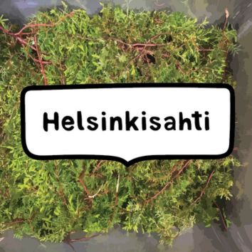 Helsinkisahti-kanisteri 3 L